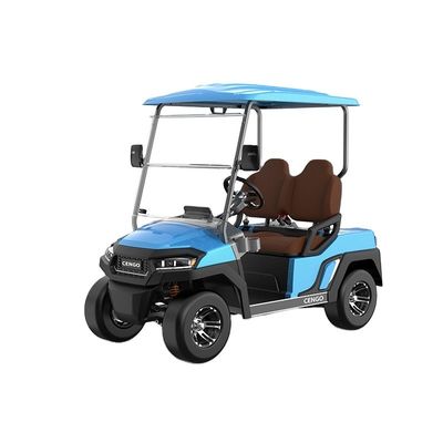 Un buen precio. Buggy eléctrico de golf de 2 asientos perfecto para la familia y la caza en la playa en línea