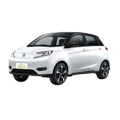 Un buen precio. Modelo 2023 Pure Electric Car YOUNG 302km Rango 0,5h Carga rápida 4 asientos Peso de carga completa 1080KG Potencia máxima 35 100km/h en línea