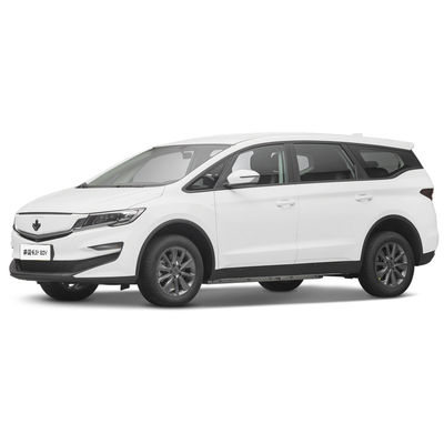 Un buen precio. 2023 de lujo de 4 plazas coche eléctrico Lifan Maple Leaf 80v Vehículo energético para adultos 139L Volumen del maletero en línea