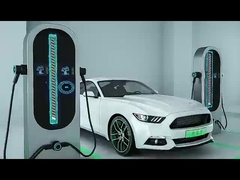 Introducción de la compañía