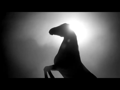 Vehículo de la gasolina