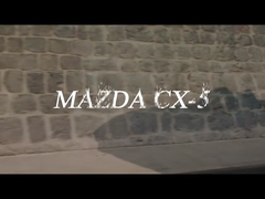 Vehículo de la gasolina