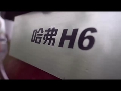 HAVAL H6 2023 SUV compacto de alta velocidad La opción definitiva para el mercado de vehículos de combustible